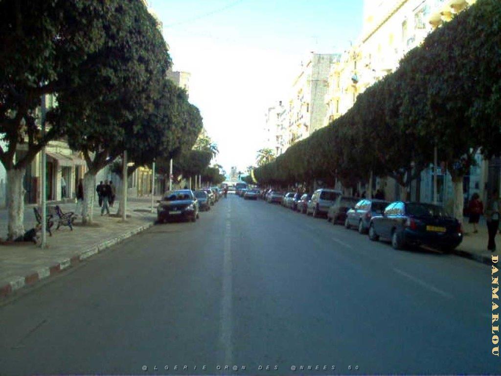 Algerie avril2005 021.jpg